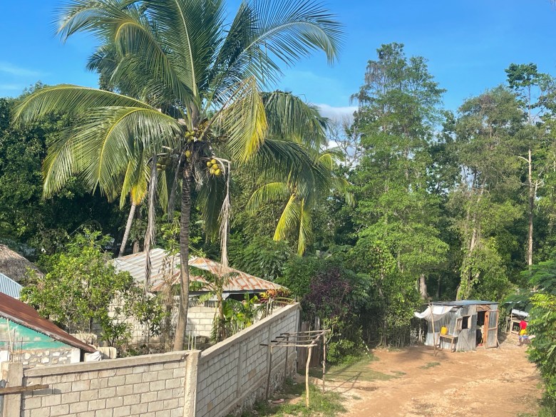 View of neighboring homes and a small shop built with unpolished wooden and metal sheets along the road in Crève, Plaine d’Orange, Bombardopolis, on Saturday, November 1, 2025. Photo by Fritznel D. Octave/The Haitian Times
