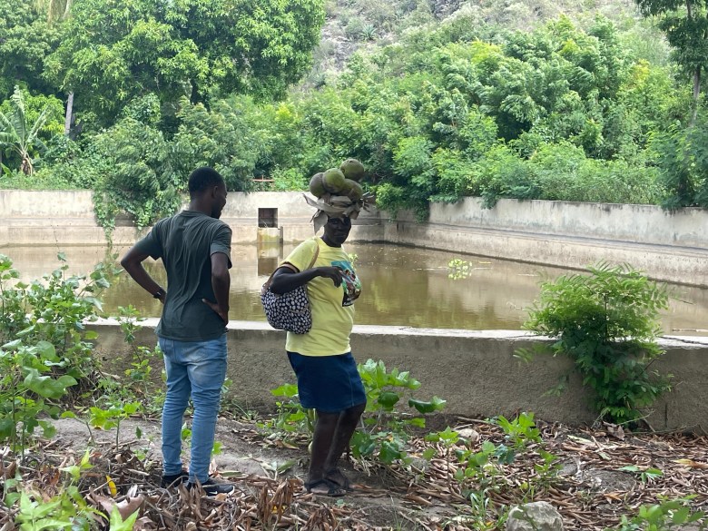 A woman in Baie-de-Henne talks with a young man after touring her farm, which was devastated by Hurricane Melissa's wrath. Photo by Fritznel D. Octave/The Haitian Times